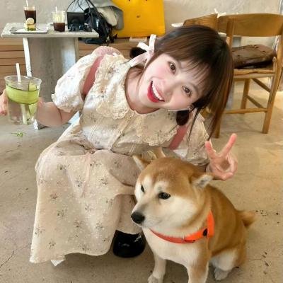 逐梦夏日